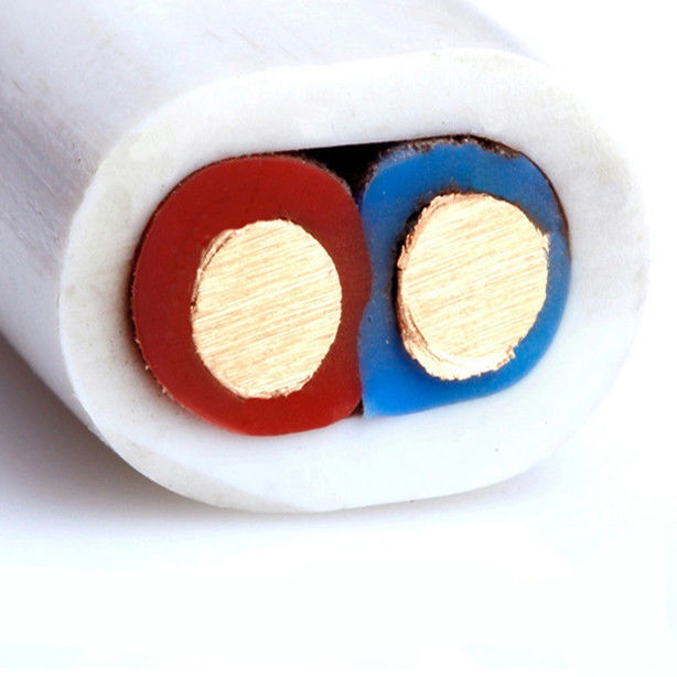 Bvvb 10mm được bảo vệ hoặc không được bảo vệ PVC vỏ đồng chiều lõi đồng cáp điện điện dây đồng