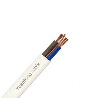 Bvvb 10mm được bảo vệ hoặc không được bảo vệ PVC vỏ đồng chiều lõi đồng cáp điện điện dây đồng